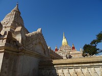 DSC06791