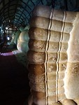 DSC06904