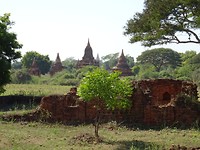 DSC07359
