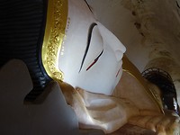 DSC07601
