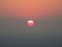 DSC07831