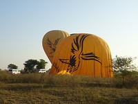 DSC08010