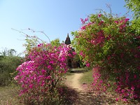 DSC08138
