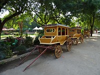 DSC08338
