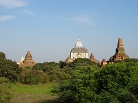 DSC08364