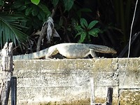 DSC09047