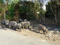 DSC09055