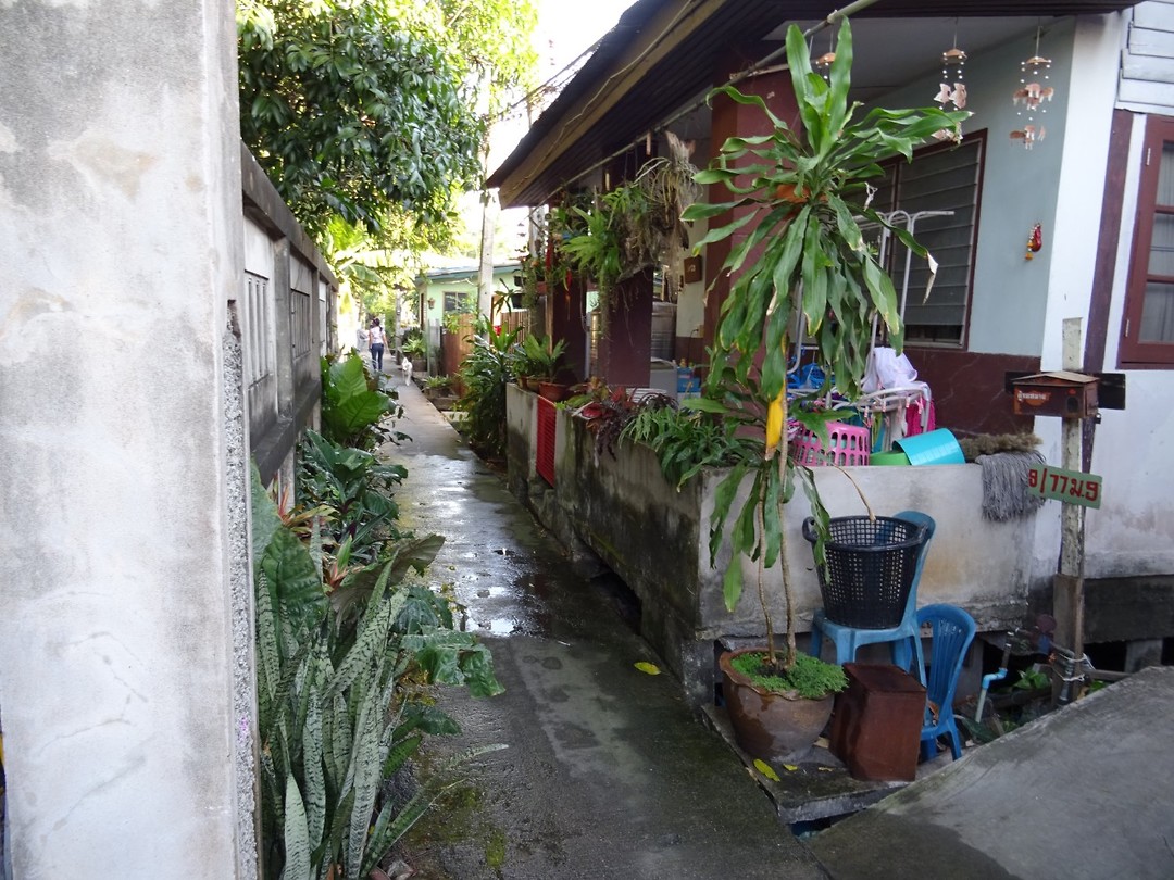 DSC09059