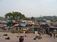 DSC09884