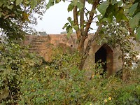 DSC01315