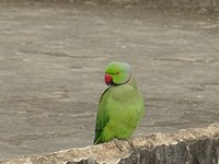DSC01573