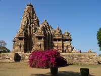 DSC02019
