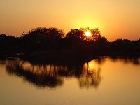 DSC02213