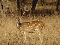DSC02329