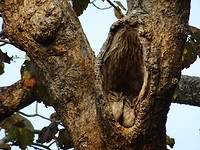 DSC09496
