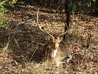 DSC09556