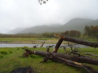 DSC00784