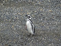 DSC01207