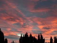 DSC01509