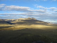 DSC01709