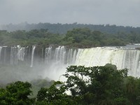 DSC04971