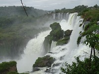 DSC05006