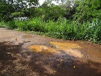 DSC05073
