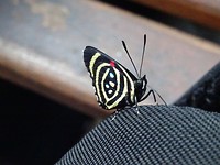 DSC05300