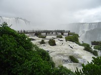 DSC05433