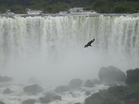 DSC05483