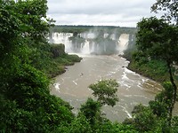 DSC05487