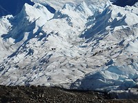 DSC04445