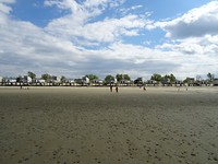 DSC05966