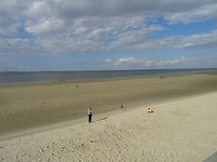 DSC05971