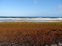 DSC06124
