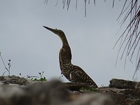 DSC06188