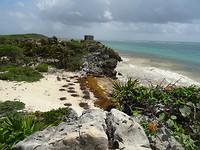DSC06202