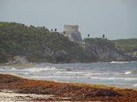 DSC06360