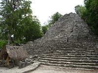 DSC06411