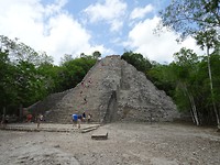 DSC06546