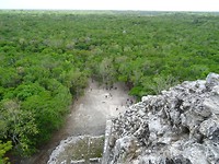 DSC06563