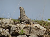 DSC06812