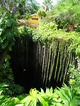 DSC07155