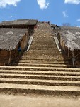 DSC07229