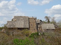 DSC07343