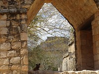 DSC07363