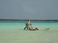 DSC07443