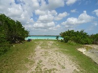 DSC07459