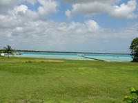 DSC07464