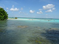 DSC07498